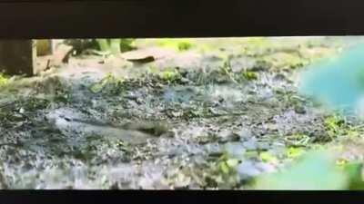 US Military predatory advertising