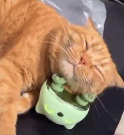 Self-Care Is Important