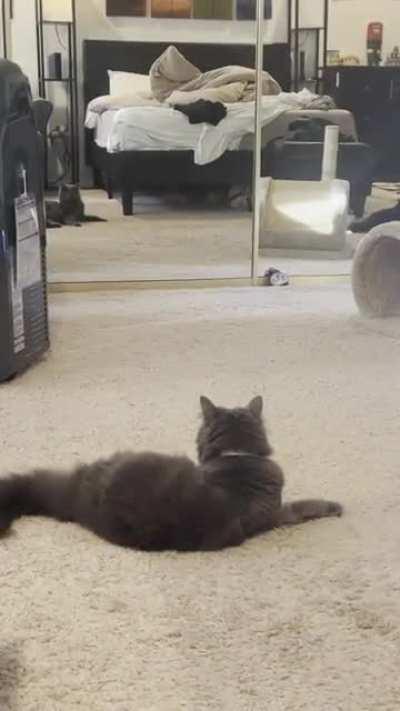 Olive every time she sees herself in the mirror