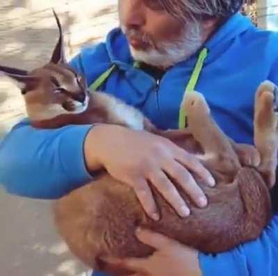 sometimes we all need a little love instead of tax fraud