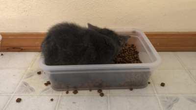 Can’t wait for him to try the water!