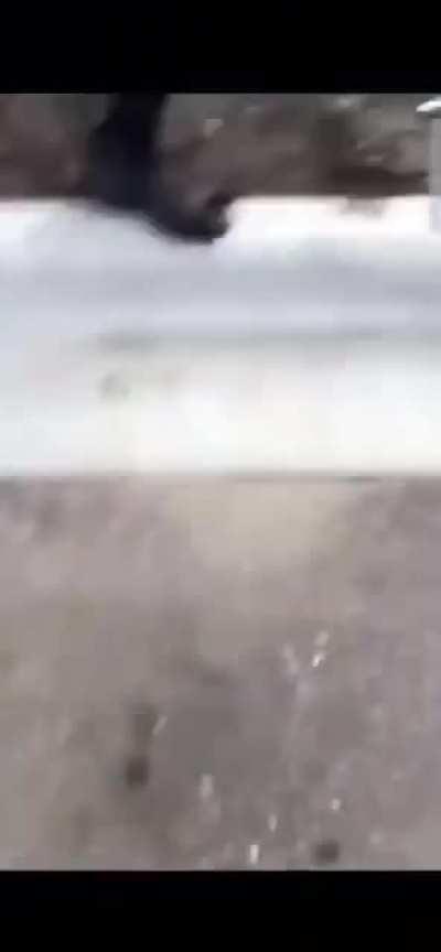 Video proof that the protesters didn't start the violence in Minneapolis is being actively censored, taken down link in comments, please share, don't let them hide this.