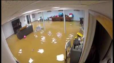 Shaka, when the walls fell