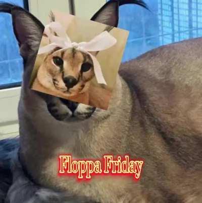 Its Floppa Friday! 💪😤🔥
