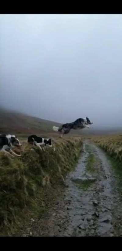 three ways to tackle a jump