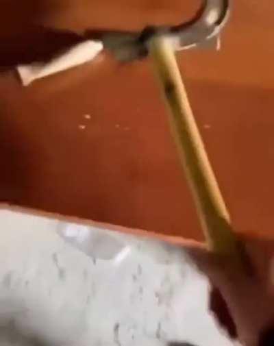 managed to prevent...