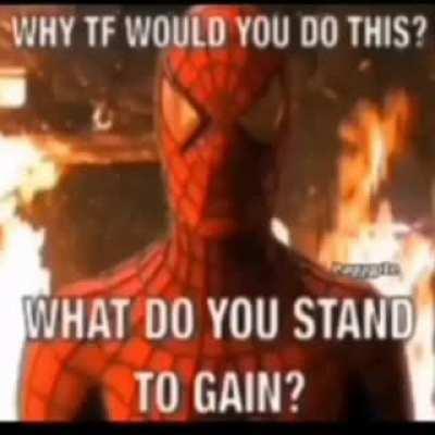 Serious fights with the most goofy ahh plot to the fight.