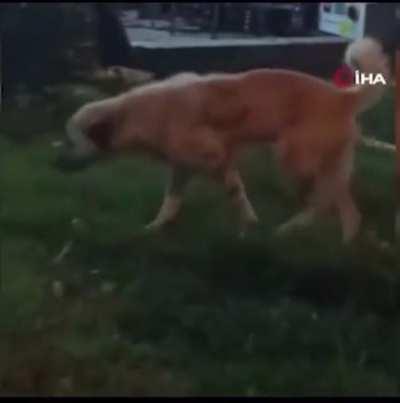 When you don't know how to dance but music catches you anyway