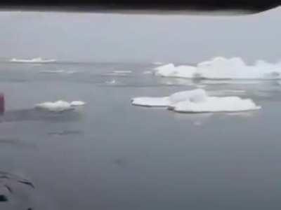 Ice swimming off a sub...