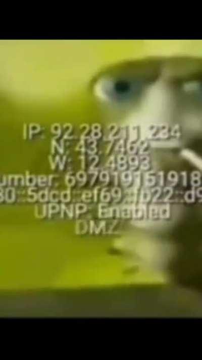 Que ves otaku culiao