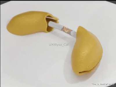 i made this for a fucking school project. and to contribute to the Wellington cause as well. (ignore the song, i just like it and used it for this shit)