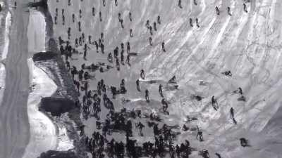 Лавина в обратном направлении