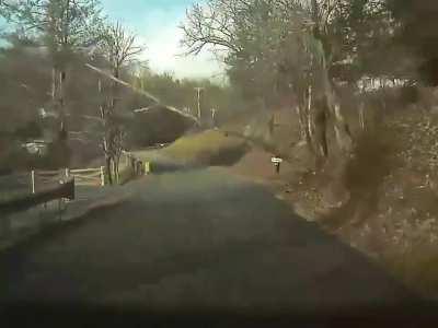 FUQ YU DAMN HUMANS CUTTIN DOWN MY BUDS!!!