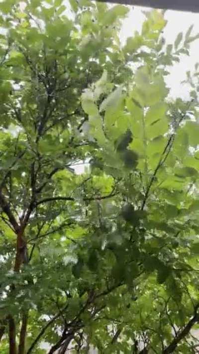 Best part of working from home-back porch during the rain