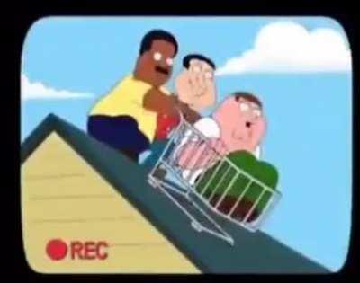 bee bush bee bush beebush bee bsuh bsee bush beebudh be bush bee bush bee bush bueebsu bhe bee bush