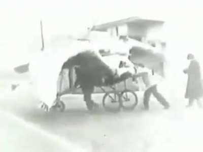 Before Airplane, Men Try To Fly.