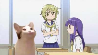 Quit making popping noises!