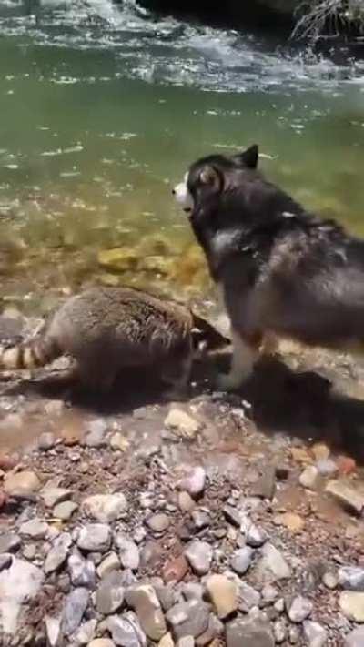 Telling the secret recipe to his friend