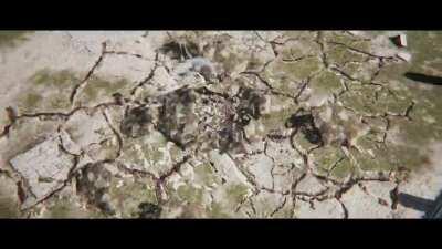 Yoruichi DLC - Character Trailer (unofficial)