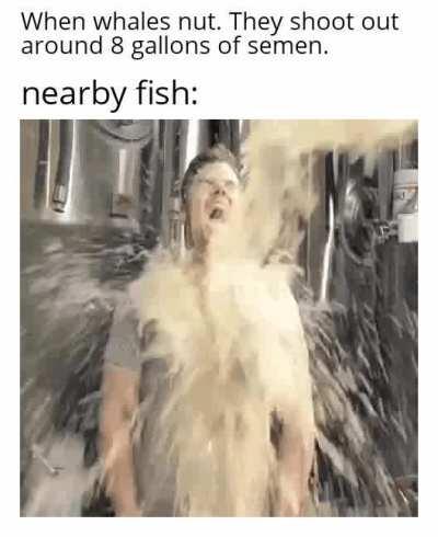 Incuming i said incuming