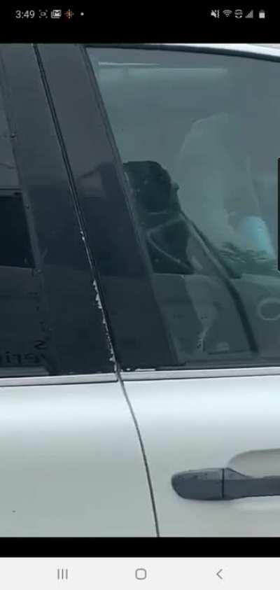 Mother of the Year award goes to...