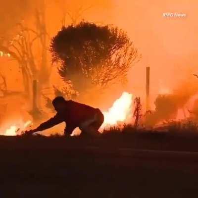 Rescue d' Rabbit from Fire