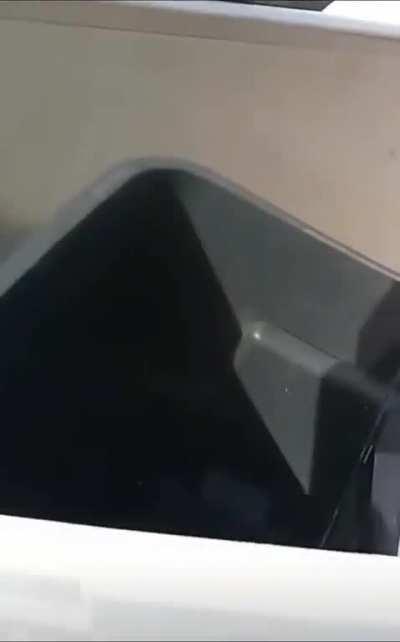 Boy fights television