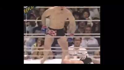 Mirko Cro Cop’s left leg lives up to its moniker in this epic finish against Wanderlai Silva in 2002.