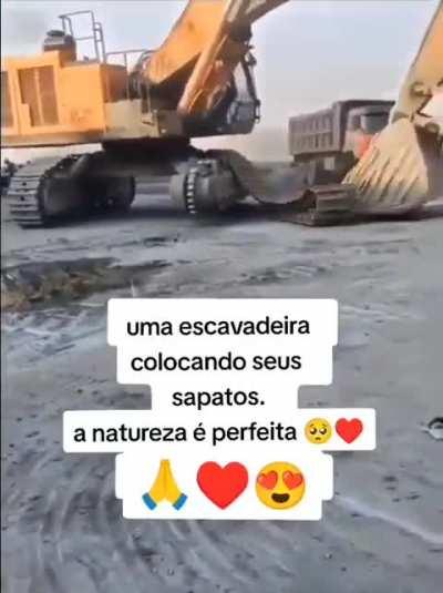 Belezas da natureza ☺️