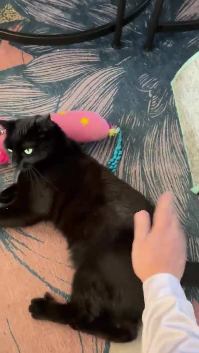 Vanta getting her bootybongo time