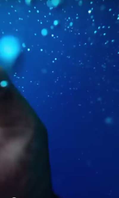 The cliff’s fade into depth despite being clear water makes my tummy churn