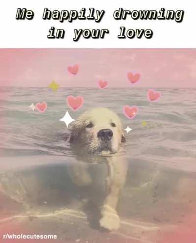 Or when they kiss your forehead