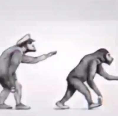 AuthRights after returning to monke...