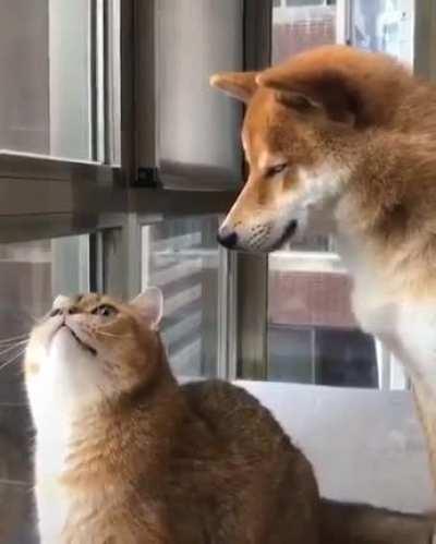 talking to the ceiling demons again