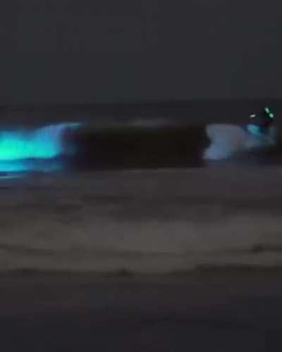 Fenômeno chamado Bioluminescência.