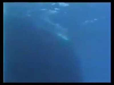 This video of a submarine sonar going off scares the crap out of me everytime I watch it