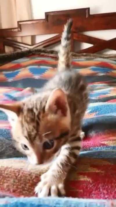 She is so little and so cute 🥰