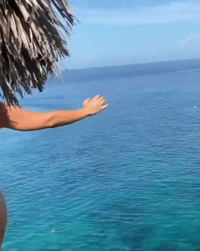 Tenille's 🍑 in a bikini