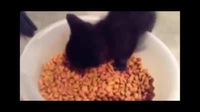 She keeps talking while eating 💕