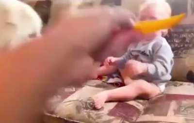 The dog ate his food