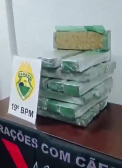 Incredibly proud of his achievement. 🐕 