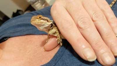 She saw our the older dragon while we were hanging out and bonding.