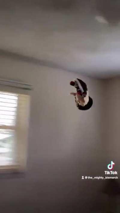 Bismarck Speeeeeeeen