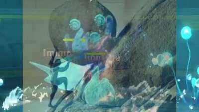 Who do you think will win?