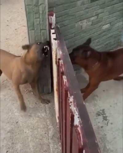 Metaphor for many human interactions?