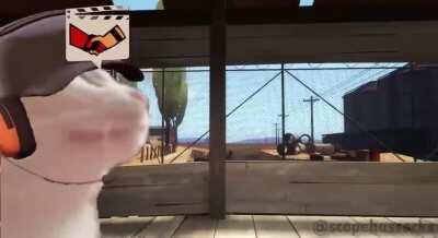 Cat just wants to Conga