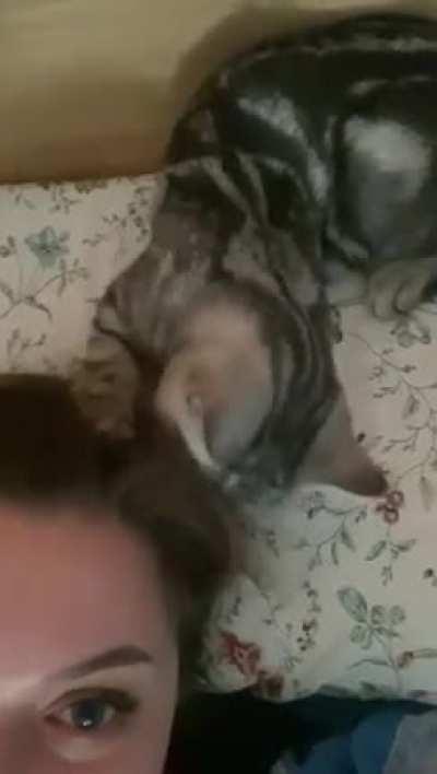 Little one loves nothing more than chomp on my or my wife’s hair when we’re trying to get some sleep