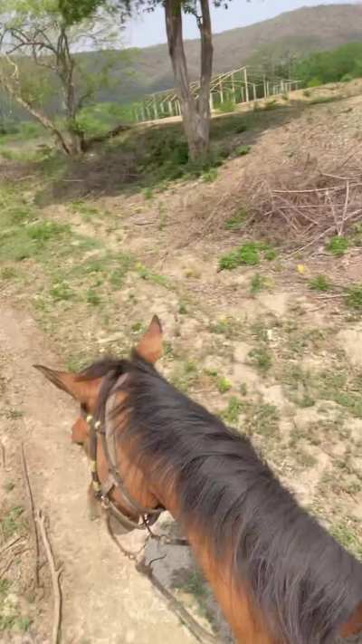 i have strict parents, of course i flash on reddit