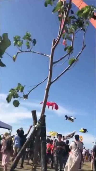 HMJB while I feel like what it means to be gone with the wind.