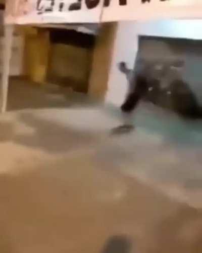 Hilarious falling moment